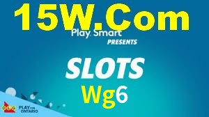 Programa VIP Wg6